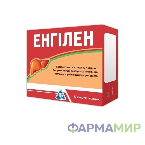 энгилен_Монтажная область 1