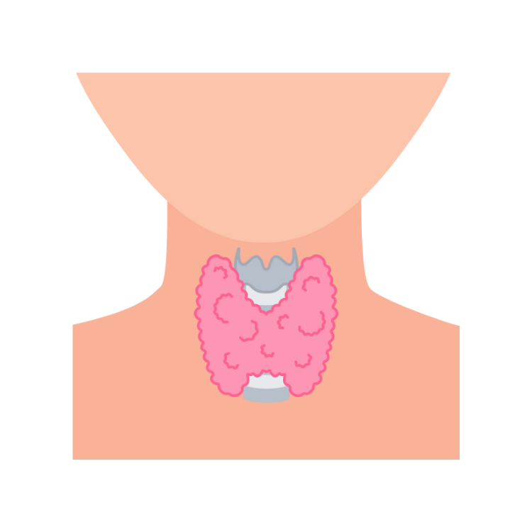 ЗАБОЛЕВАНИЕ ЩИТОВИДНОЙ ЖЕЛЕЗЫ