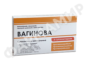 ВАГИНОВА №6 СУПП