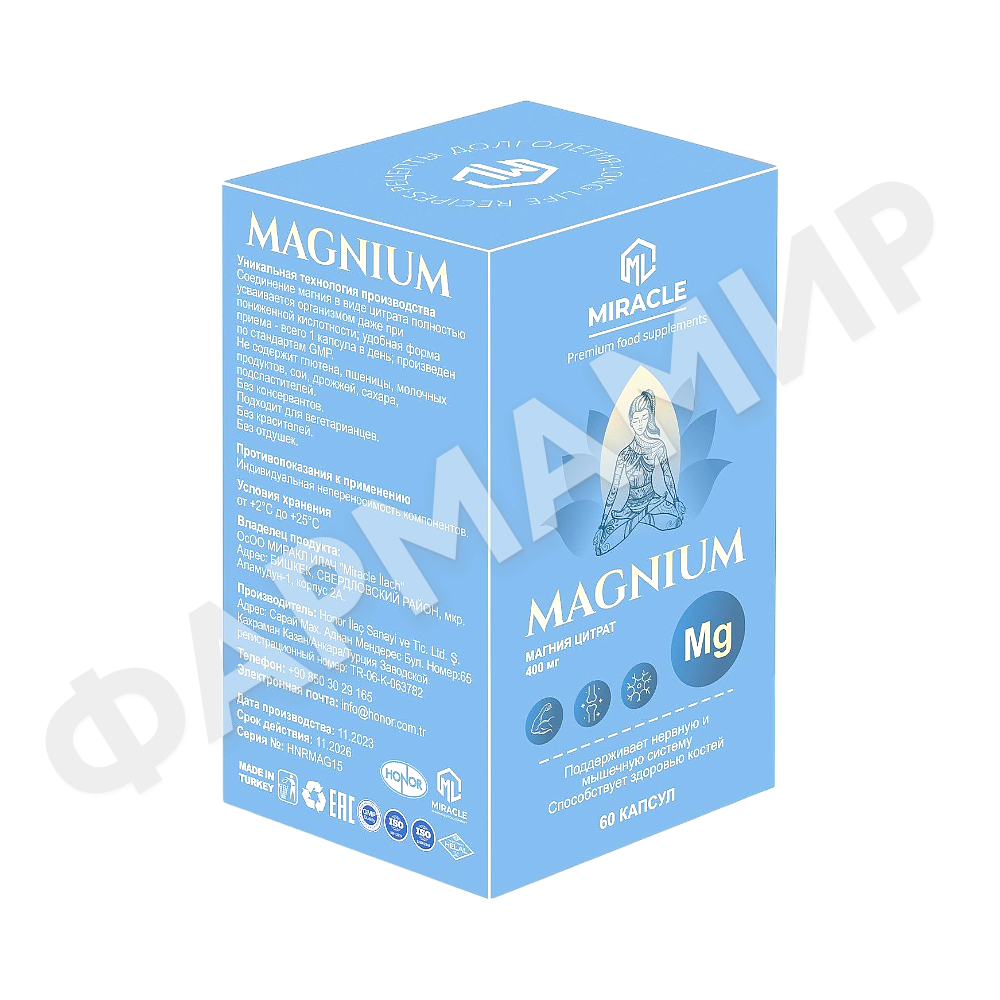 МАГНИУМ 400МГ№60 КАПС
