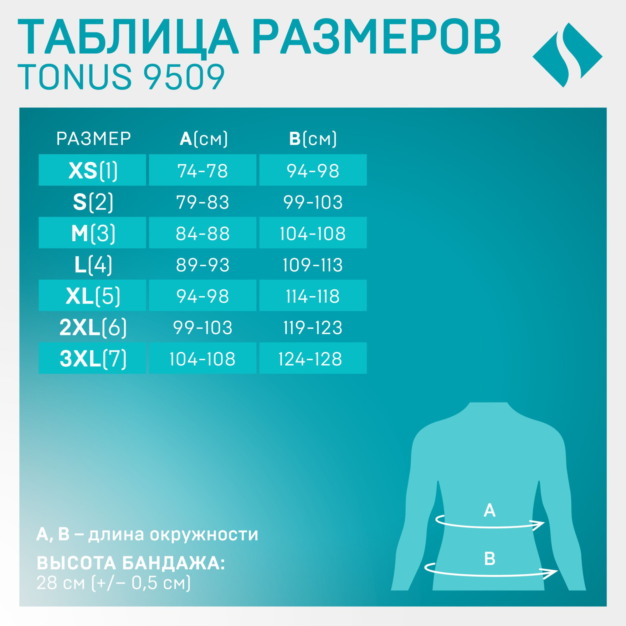 ПОЯС ЭЛАСТ 9509 -3 ТОНУС