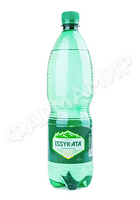 ВОДА ЫССЫК-АТА 0,5Л ГАЗ
